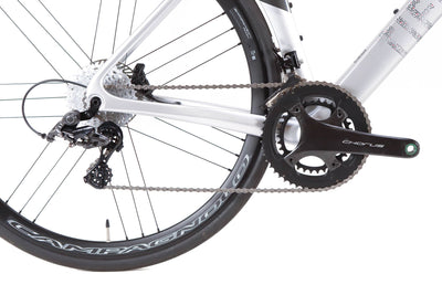 Tifosi Auriga Campagnolo Chorus Disc Road Bike 2022, Size Large