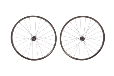 Bontrager Paradigm Comp Alloy Disc Wheelset, Shimano Freehub
