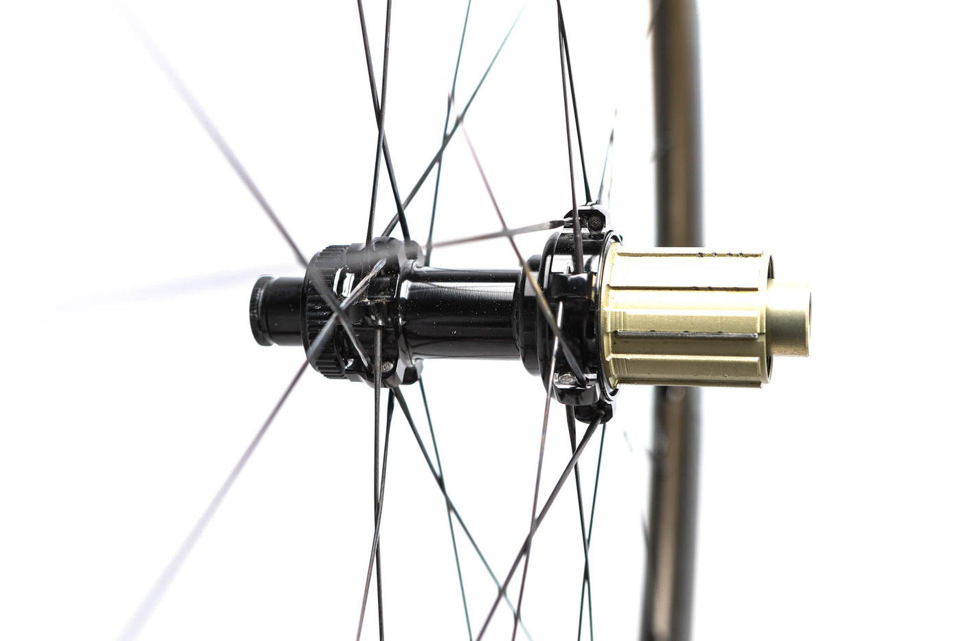Zipp 302 Carbon Disc Road Wheelset, Shimano Freehub