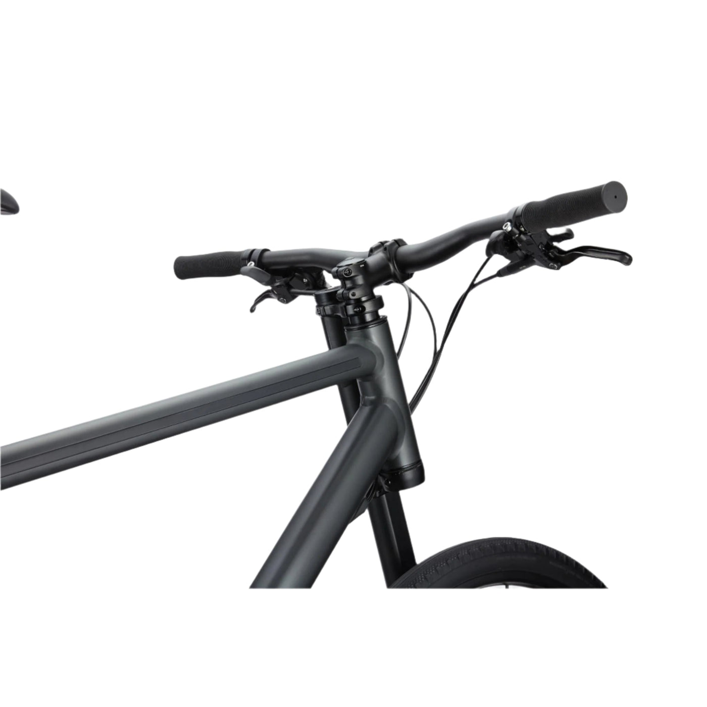 Cannondale Bad Boy 2 2025