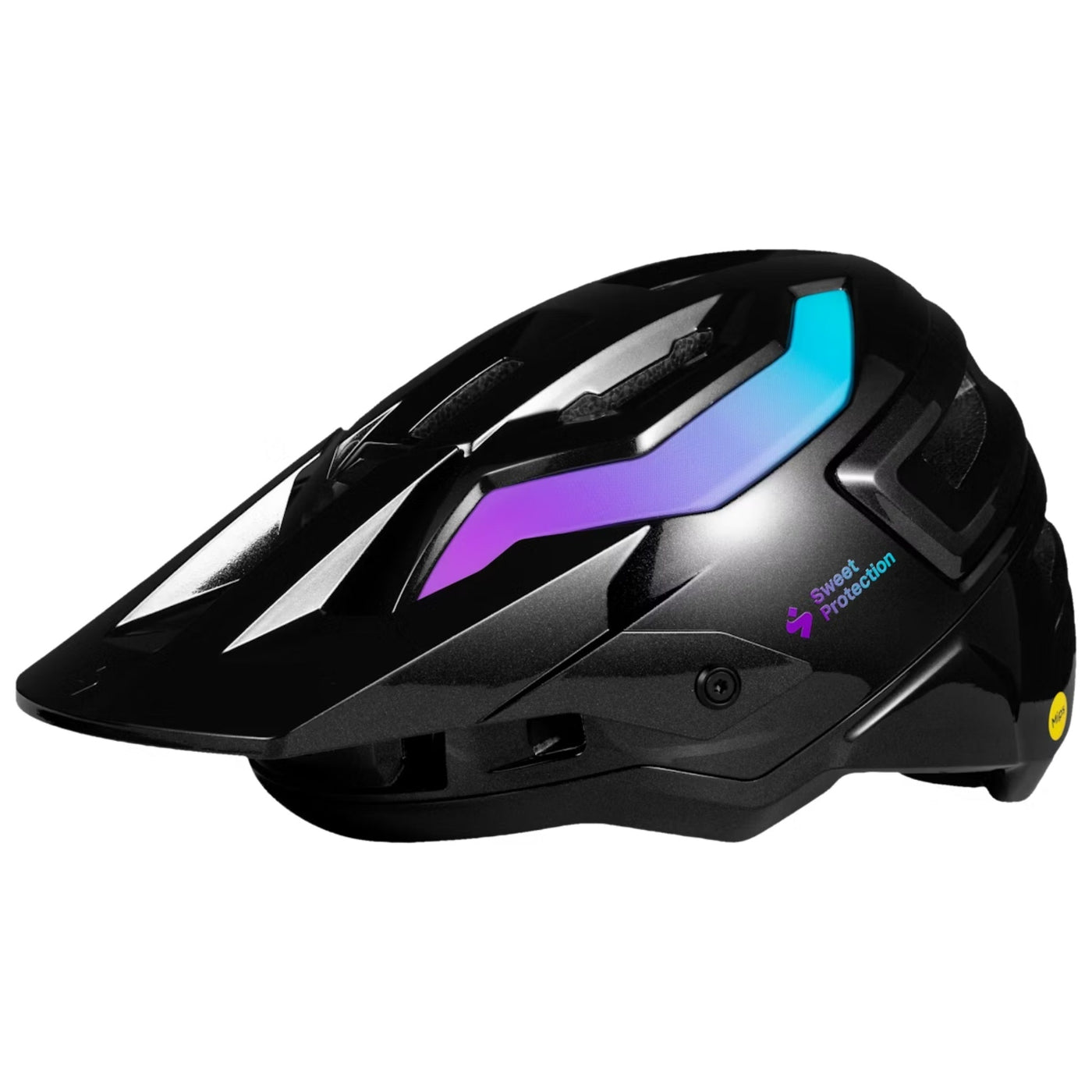 Sweet Protection Bushwhacker 2Vi MIPS Helmet