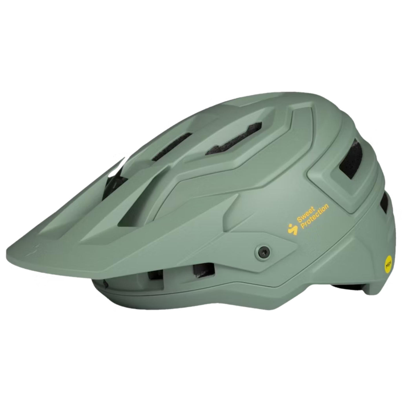 Sweet Protection Bushwhacker 2Vi MIPS Helmet