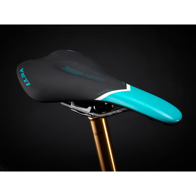 Yeti SB160 40th Anniversary Team Edition